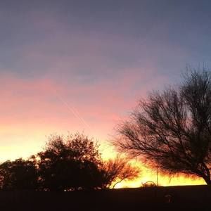 Meet your Posher, Michele